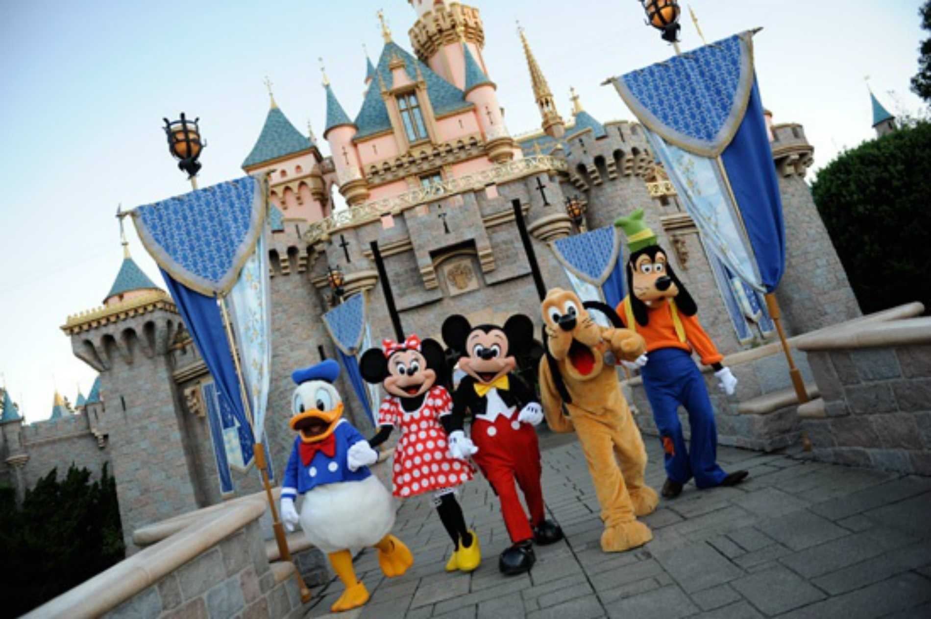 Fake Id At Disneyland